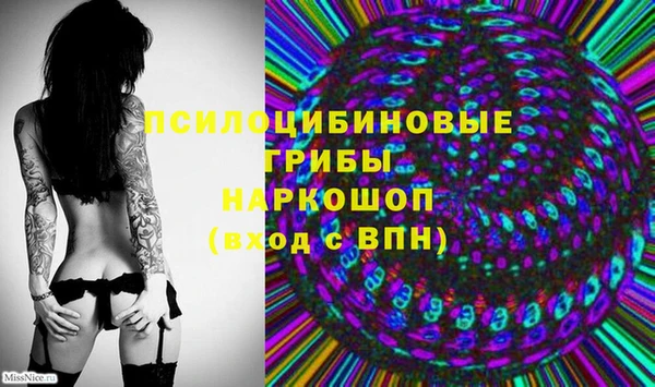 Альфа ПВП Покров