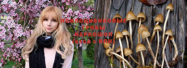 крисы Протвино