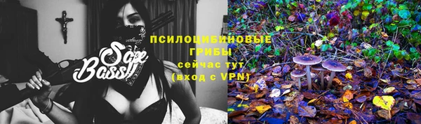 крисы Протвино