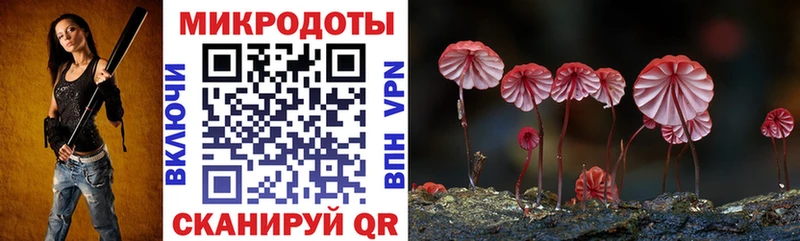 купить  сайты  Ардатов  Галлюциногенные грибы мухоморы 
